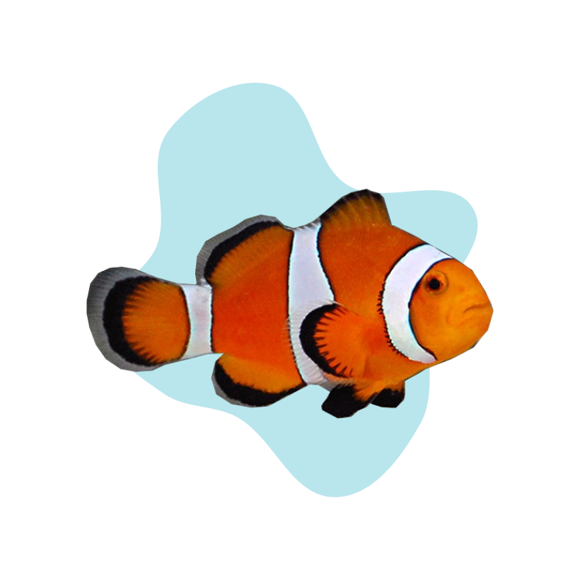 Aquarium
