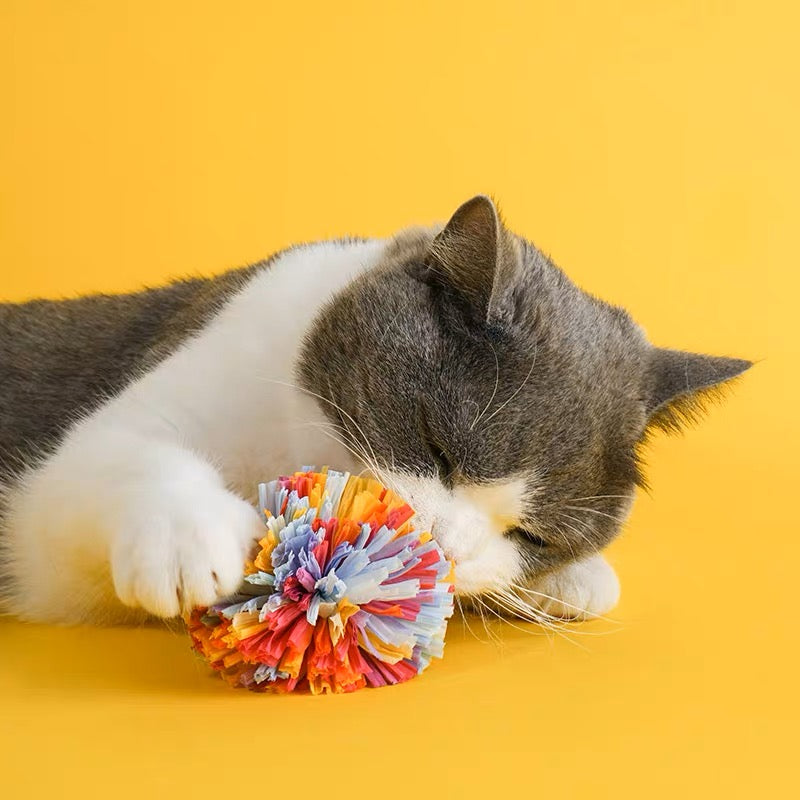 ZEZE Cat Dental Care Catnip Toy