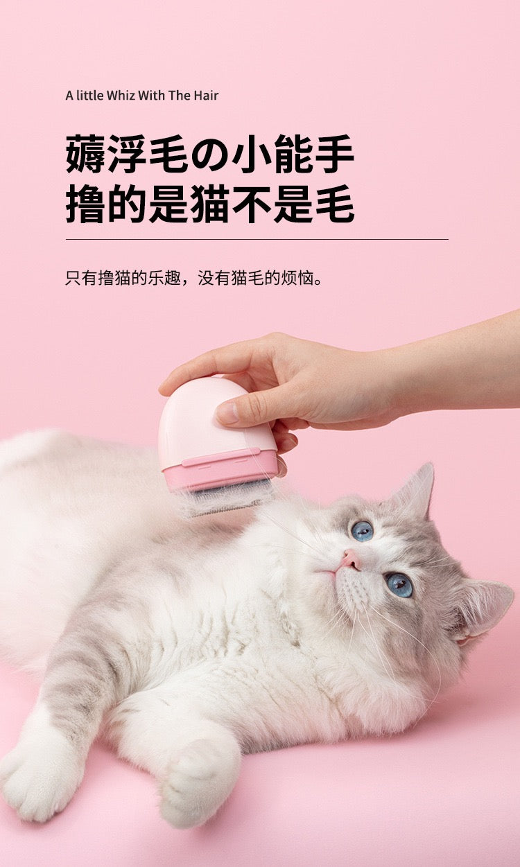 Aiwo Double-Side Pet Grooming Brush