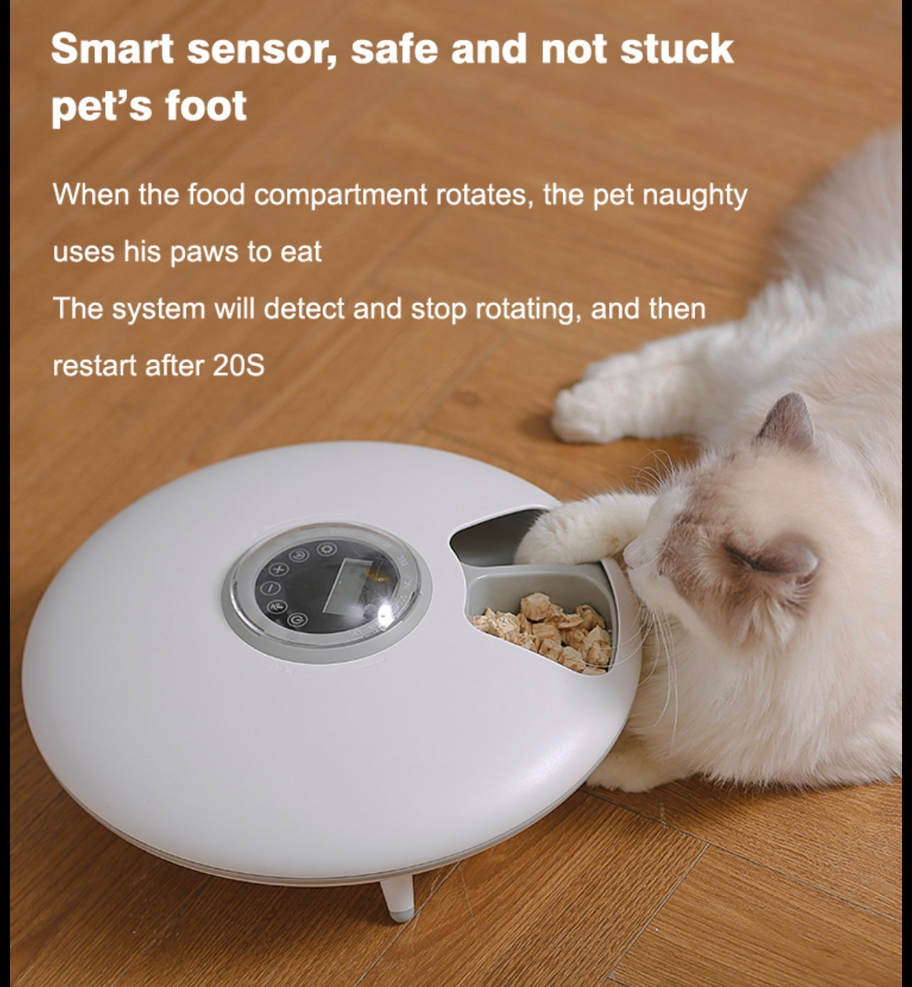 Aiwo Six Meal Automatic Pet Feeder