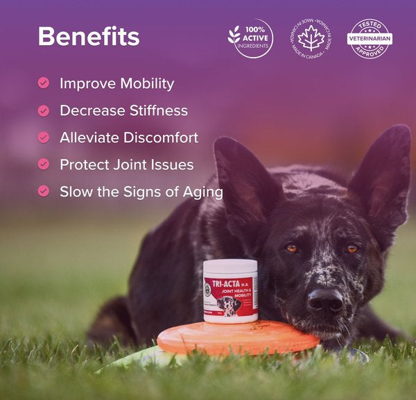 Tri-Acta H.A. Maximum Strength Powder Joint Supplement for Small Dogs & Cats 60g