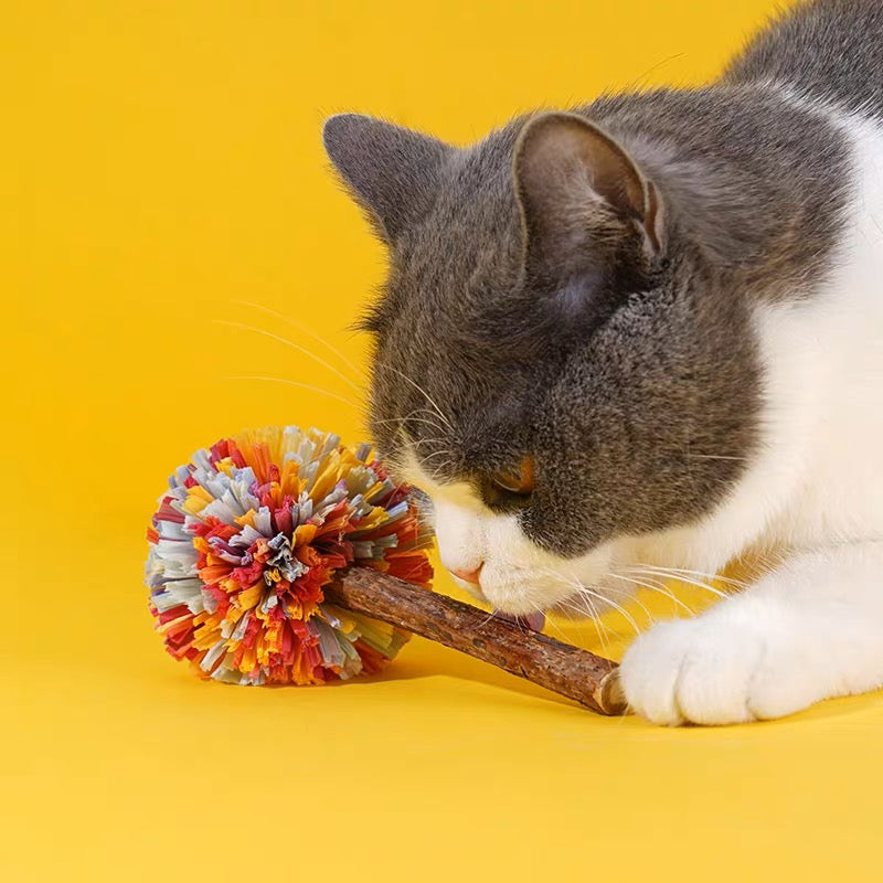 ZEZE Cat Dental Care Catnip Toy