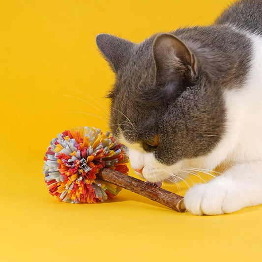 ZEZE Cat Dental Care Catnip Toy