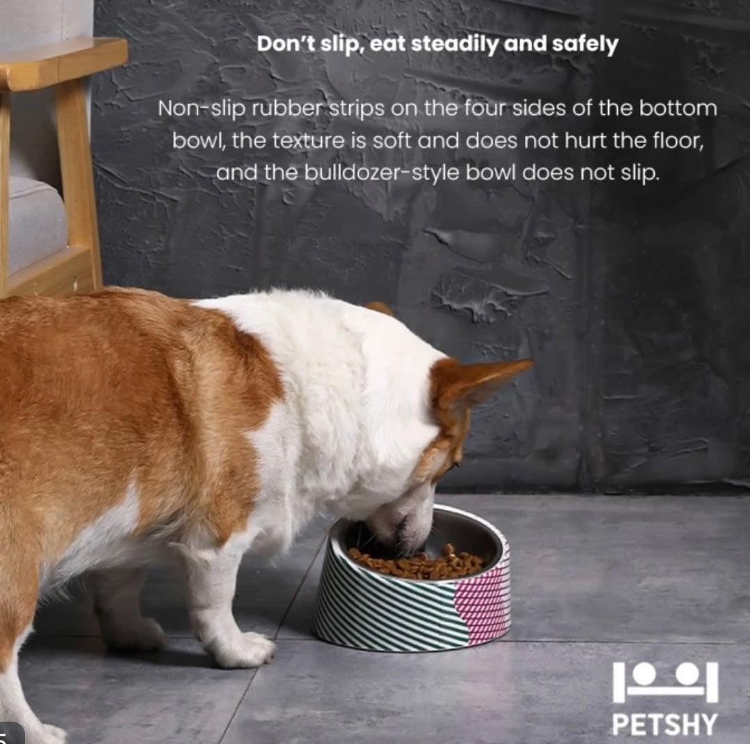 Petshy Pisa Stainless Steel Single Pet Bowl