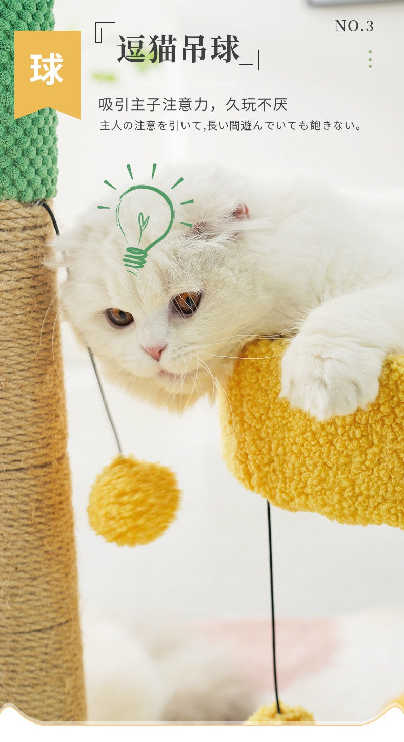 MiaoFairy Cactus Climbing Playing Cat Scratching Post Cute Cat Tree House