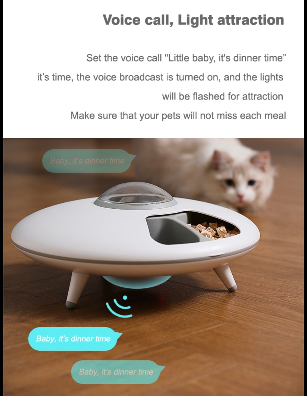 Aiwo Six Meal Automatic Pet Feeder