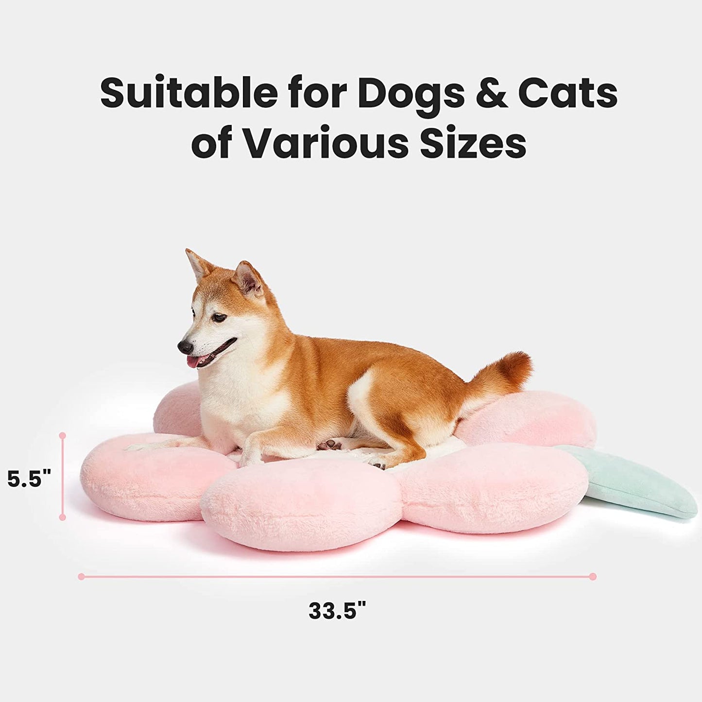 VETRESKA Flora Pets Bed for Medium Small Dogs Cats And Washable Bed Sofa Supportive Pet Bed Bolster