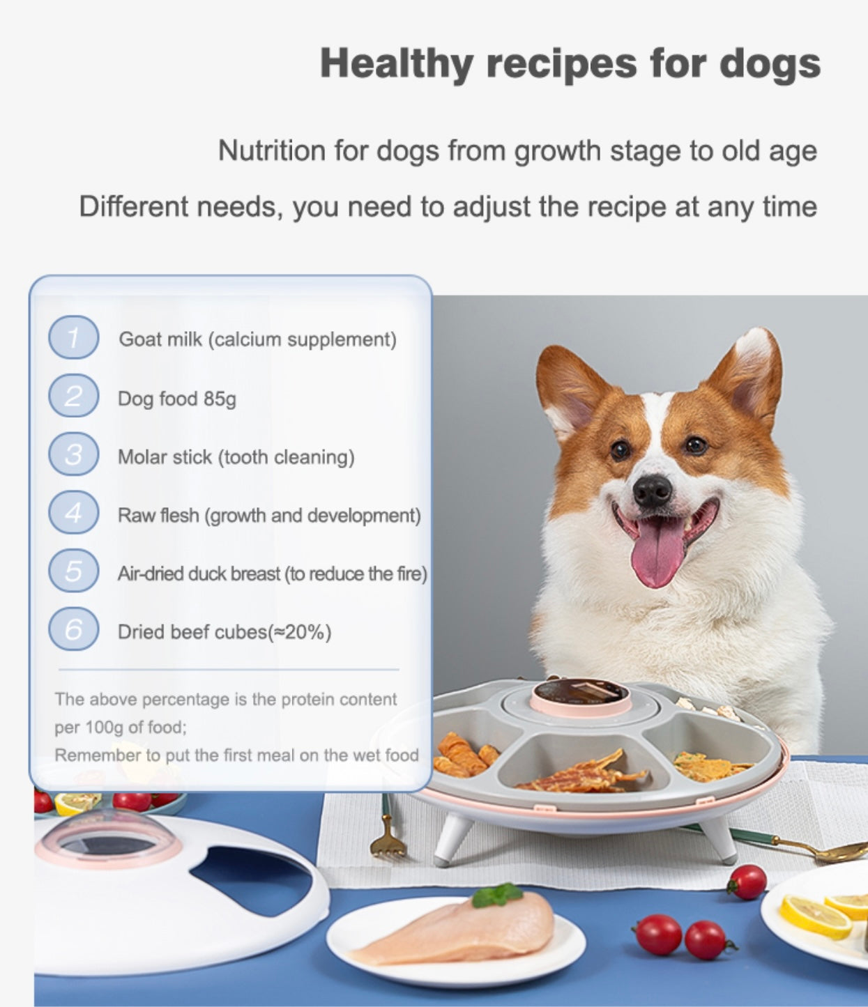Aiwo Six Meal Automatic Pet Feeder