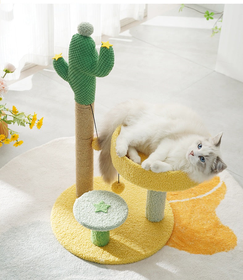 MiaoFairy Cactus Climbing Playing Cat Scratching Post Cute Cat Tree House