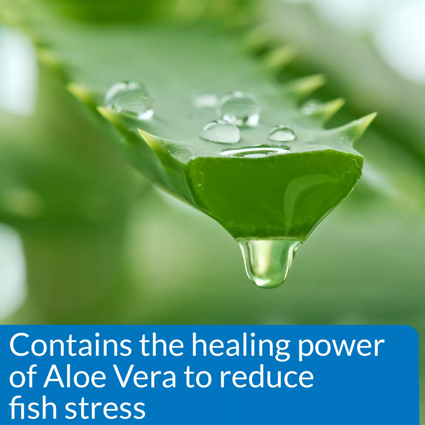 API Stress Coat Tap Water Aquarium Conditioner 16oz/473ml