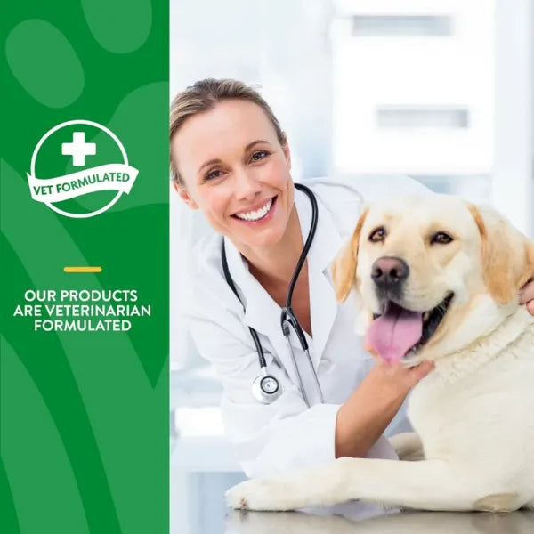 NaturVet Advanced Probiotics & Enzymes Soft Chews For Dogs