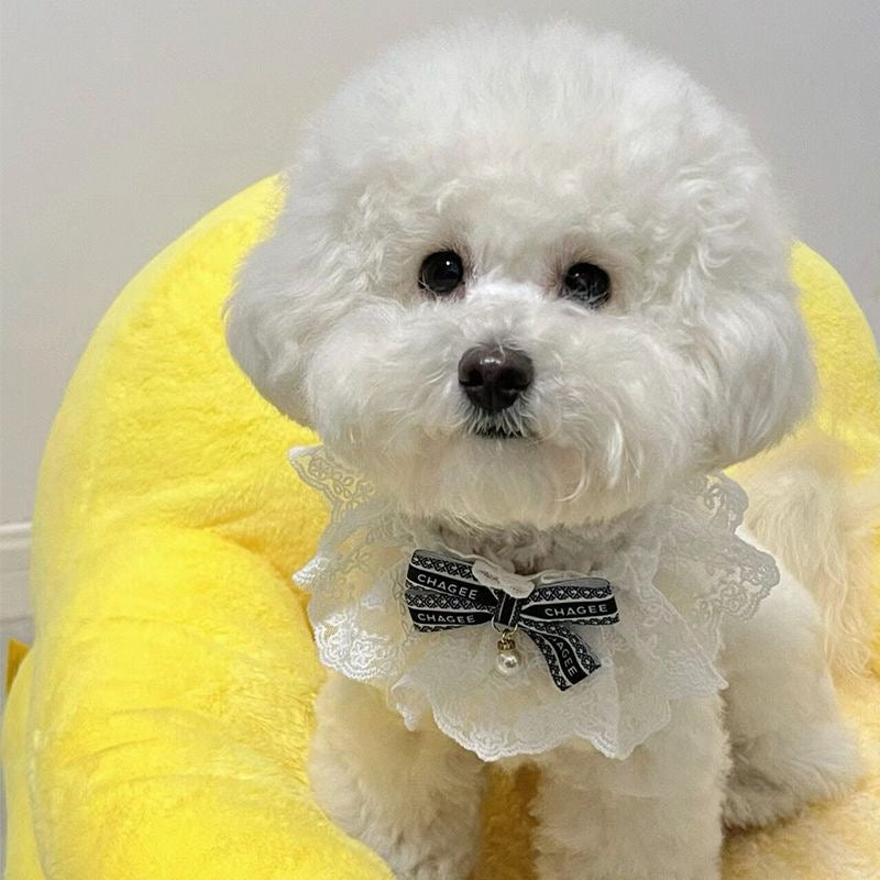 MagicalPet “CHAGEE” Cute Pet Necklace For Cats Dogs