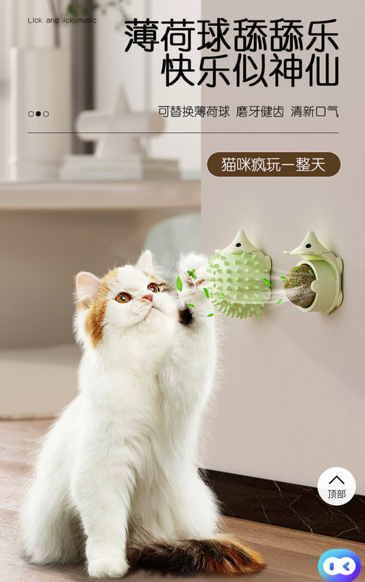 Hoopet Catnip Ball Toys And That Stick on Wall Cat Toy