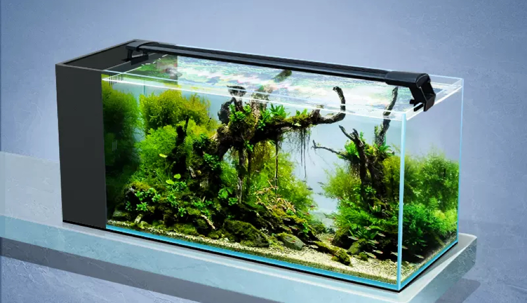 Yi Ding Aquarium Ultra-White Clear 45° Mitered Edges Translucent Glass Tank With Built-in Side Filter 4-80 Gallons Series
