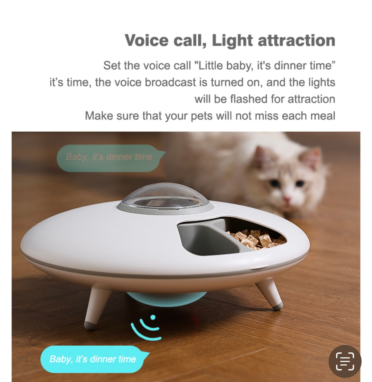 Aiwo Six Meal Automatic Pet Feeder