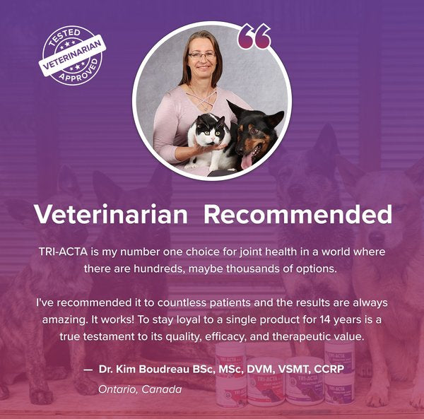 Tri-Acta H.A. Maximum Strength Powder Joint Supplement for Small Dogs & Cats 60g
