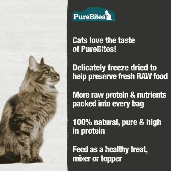 PureBites Freeze Dried Minnow Cat Treat 31g