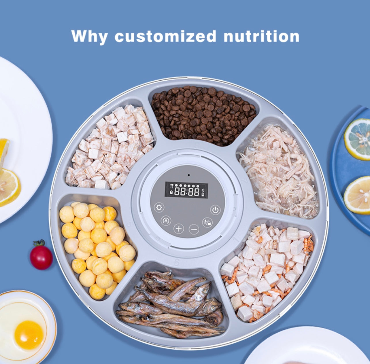 Aiwo Six Meal Automatic Pet Feeder