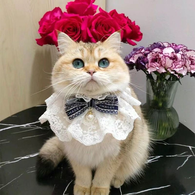 MagicalPet “CHAGEE” Cute Pet Necklace For Cats Dogs