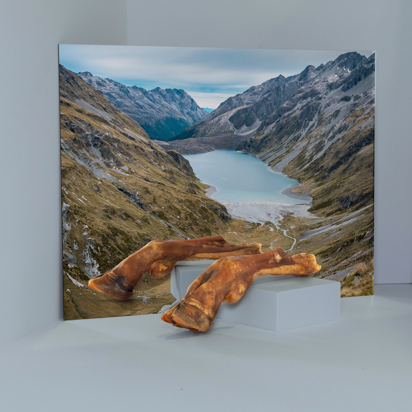 ROAM® BILLY BONE™ RANGELAND GOAT DOG TREAT