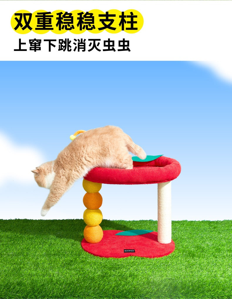 MiaoFairy Apple Cartoon Small Cat Scratching Tree