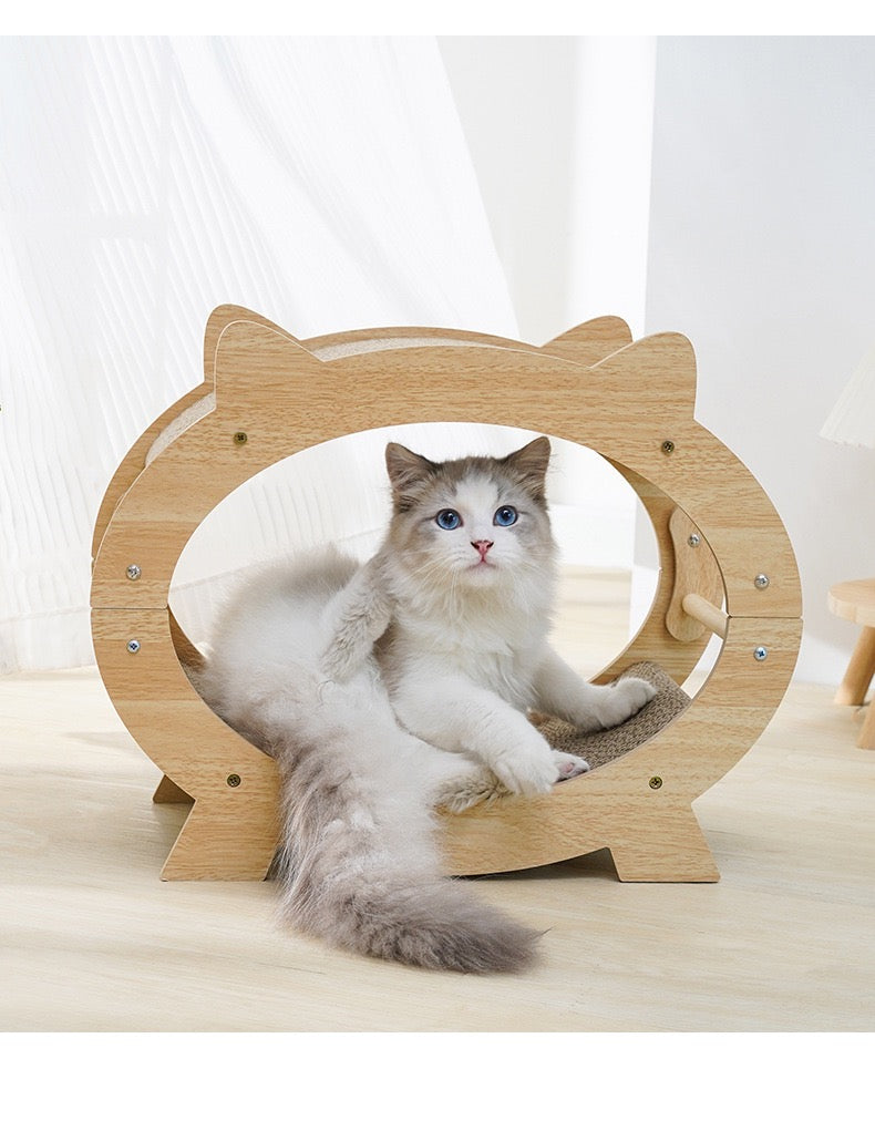 MiaoFairy Circle Wood Cute Cat Scratcher Bed