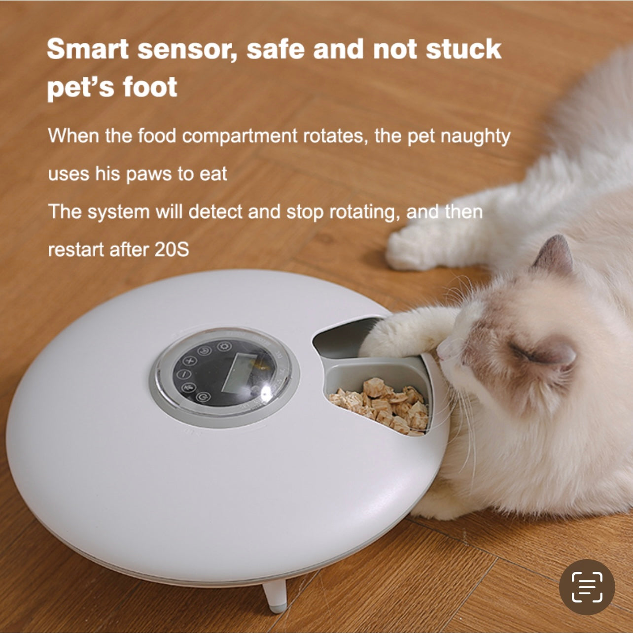 Aiwo Six Meal Automatic Pet Feeder