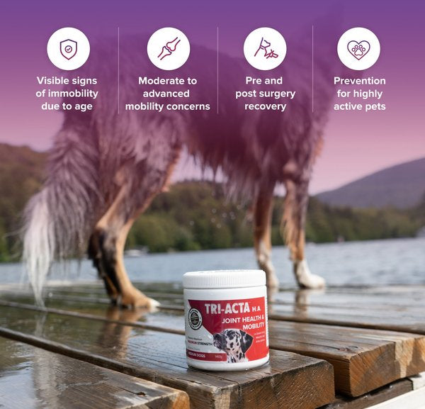 Tri-Acta H.A. Maximum Strength Powder Joint Supplement for Small Dogs & Cats 60g