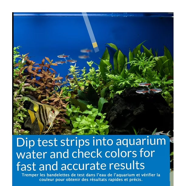 API Ammonia Aquarium Test Strips