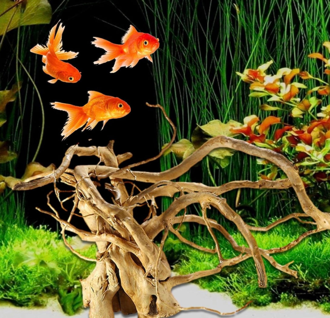 Aquarium Plants/Wood Tree Root Decoration Tree Trunk Fish Tank-Mix Size Per Pound(Random)