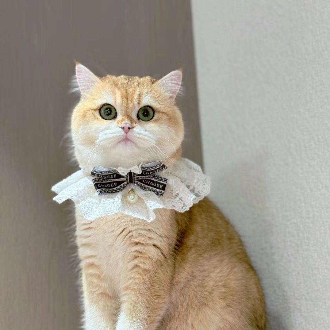 MagicalPet “CHAGEE” Cute Pet Necklace For Cats Dogs