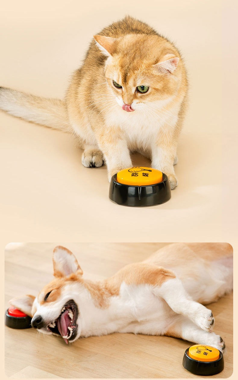 MagicalPet Voice Recording Button