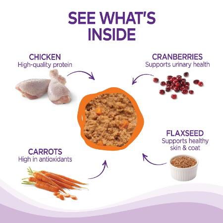 Wellness Complete Health Chicken Wet Cat Food