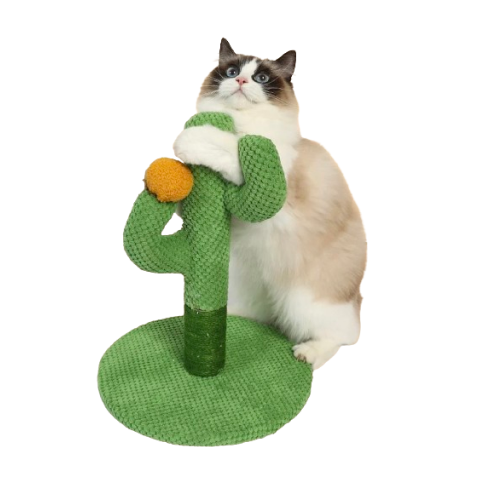 DREAMPET CACTUS CAT SCRATCHING POST