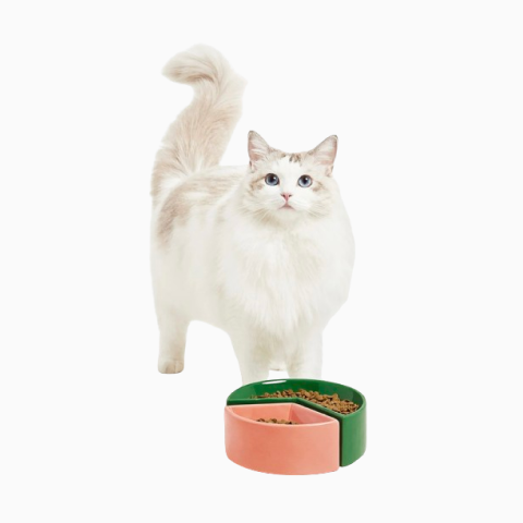VETRESKA LIKE A WATERMELON/GRAPEFRUIT CERAMIC PET BOWL