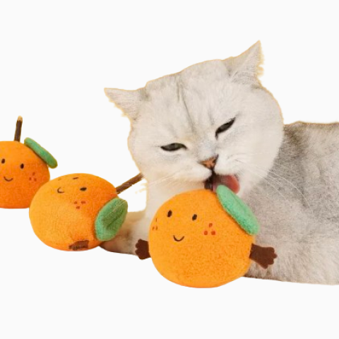 ZEZE ORGANGE POLYGONUM CAT CHEWING TOY TEETH CLEANING