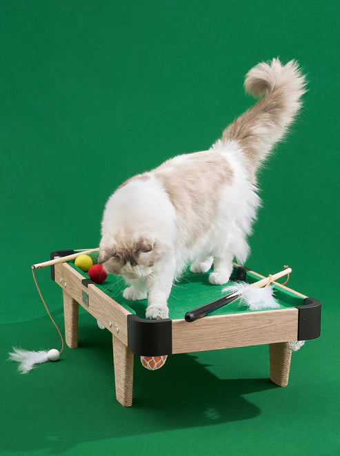 VETRESKA MEOWNOOKER CAT SCRATCHER WITH TOY SET