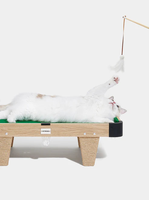VETRESKA MEOWNOOKER CAT SCRATCHER WITH TOY SET