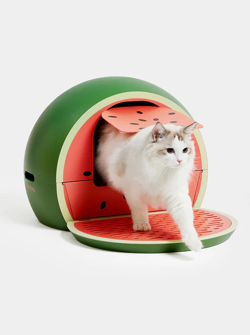 VETRESKA WATERMWLON/GRAPFRUIT CAT LITTLE BOX