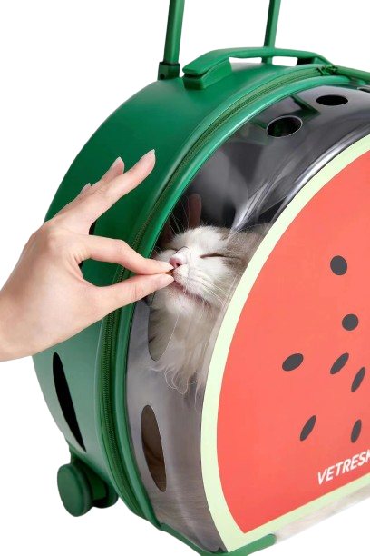 VETRESKA WATERMELON PET CARRIER