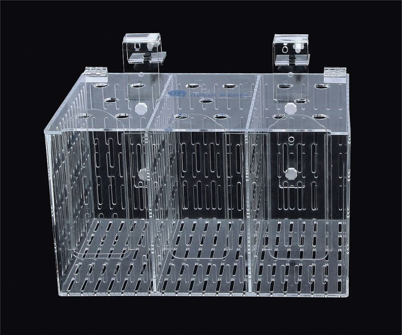 MagicalPet Aquarium Fish Breeding Box Acrylic Fish Isolation Box