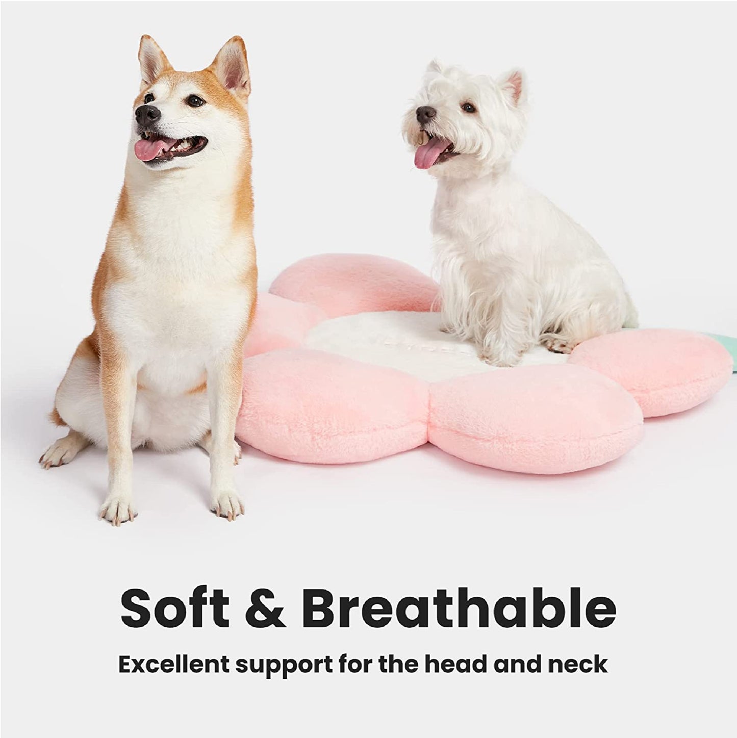 VETRESKA Flora Pets Bed for Medium Small Dogs Cats And Washable Bed Sofa Supportive Pet Bed Bolster