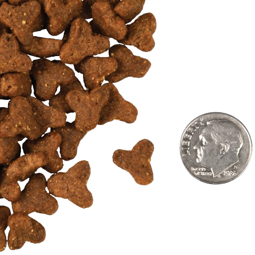 Fromm Adult Cat Dry Food - Game Bird