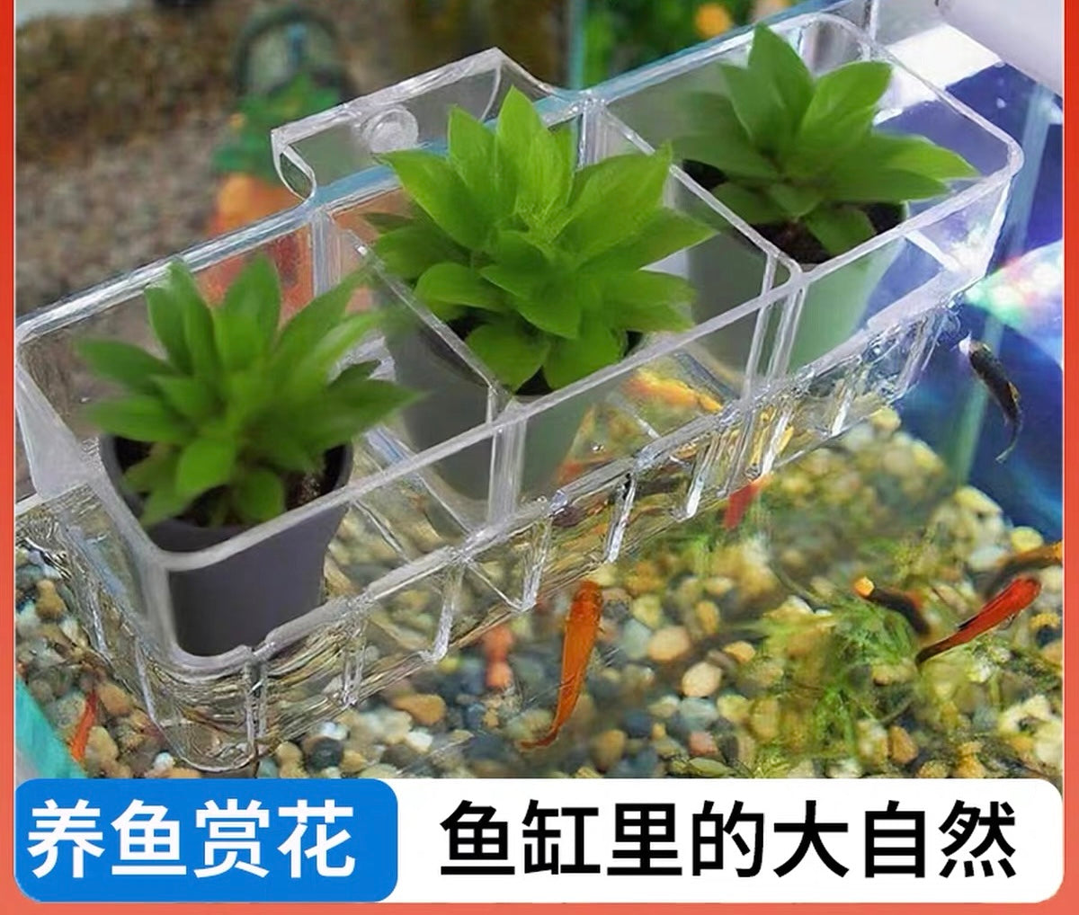 Magicalpets Aquarium Fish Tank Hydroponic Planting Basket Large Size WH-605