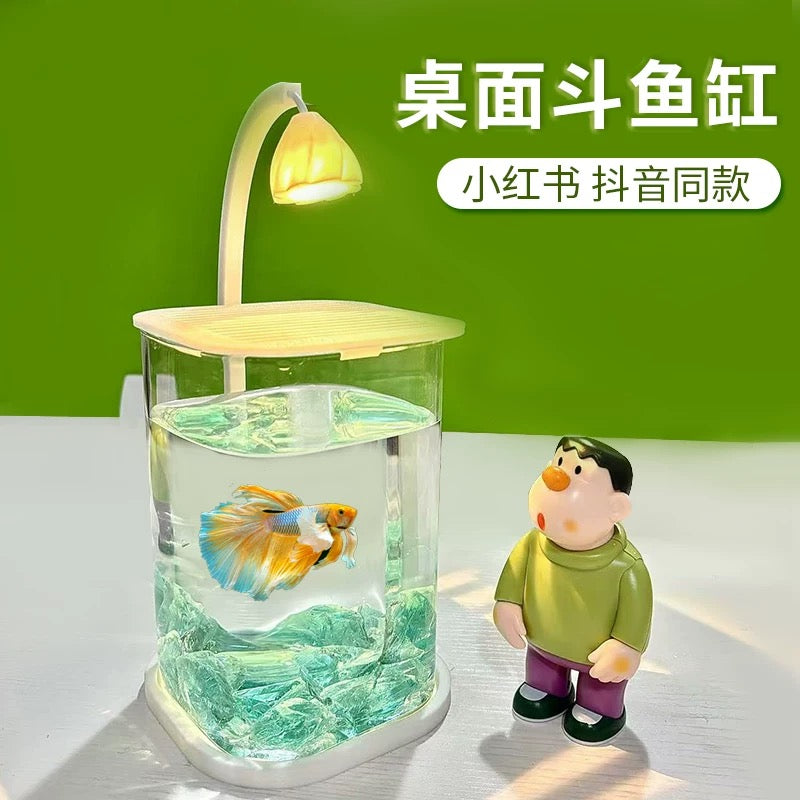 Small Fish Glass Tank With Light