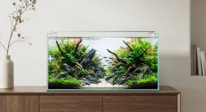 YiDing Ultra-Clear Straight-Corner Glass Aquarium Tank From 4-175GL Aquarium Series