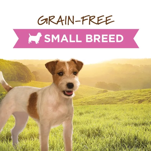Instinct Original Real Chicken Recipe for Small Breed Dogs 5.5oz