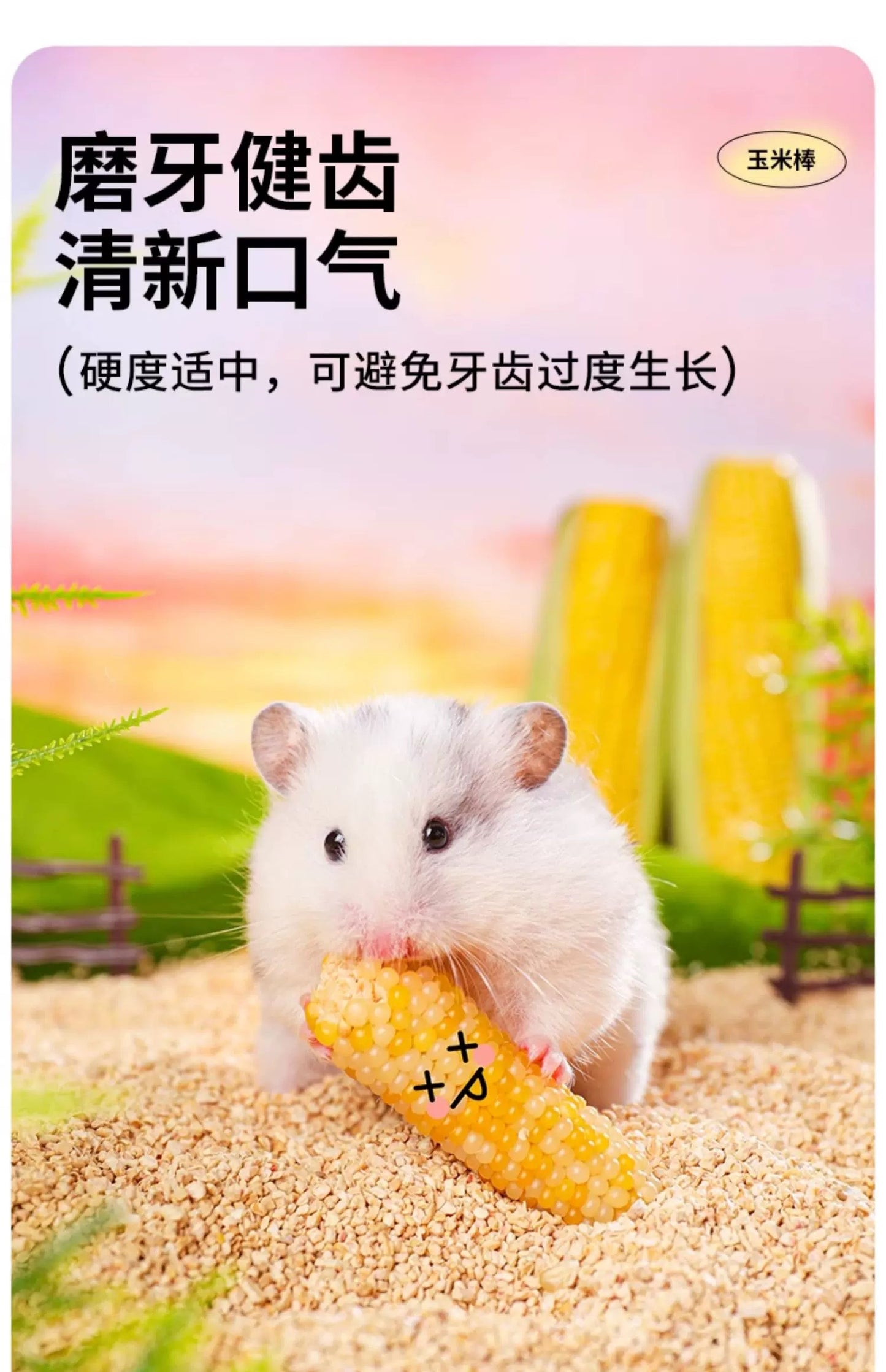 Yee Mini Corn Dried Cob Hamster Treats For Healthy Teeth Grinding And Daily Enrichment