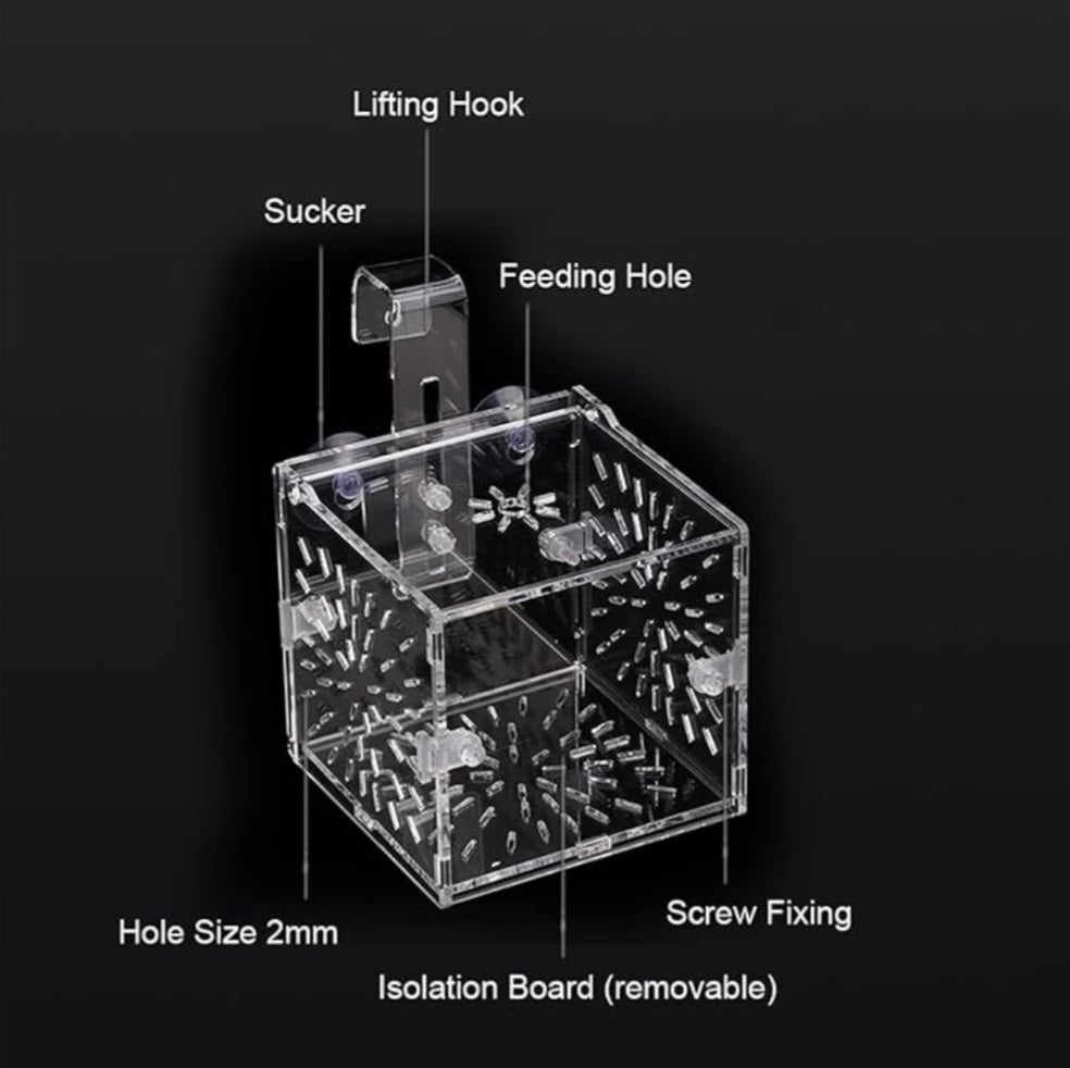 MagicalPet Aquarium Single Acrylic Breeding Isolation Fish Separation Breeder Box