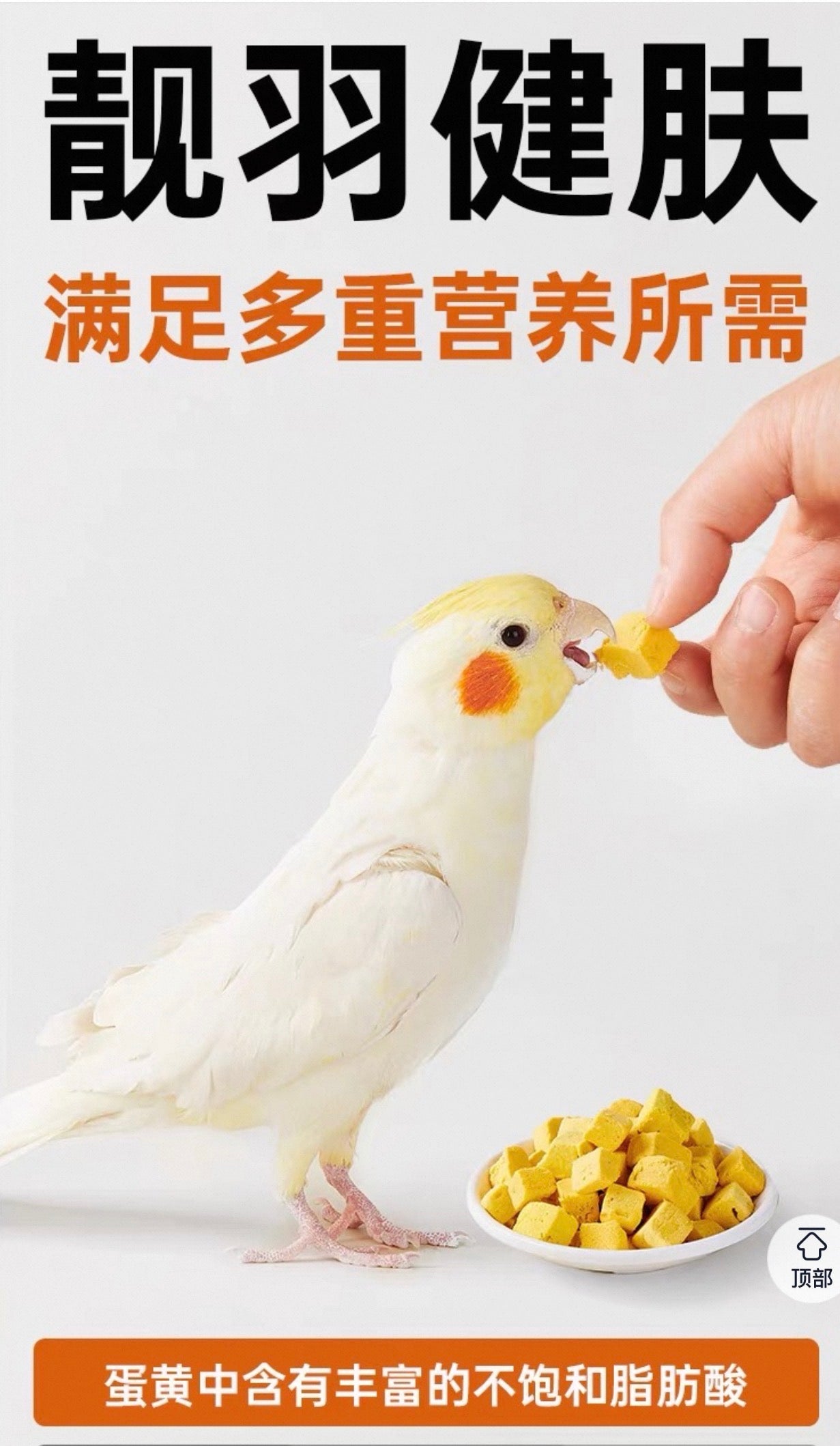 Yee Freeze-Dried Egg Yolk Cubes/100% Pure Egg Yolk Parrot Treat 60g